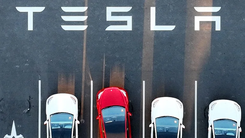 Tesla je v dvajsetih letih naredila veliko, v električni mobilnosti je vodilno podjetje, ki ga spremlja vsa konkurenca.

FOTO:Josh Edelson/AFP