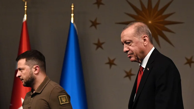 Zelenski in Erdoğan sta govorila tudi o sporazumu o izvozu ukrajinskega žita prek Črnega morja, ki sta ga Ukrajina in Rusija sklenili lani poleti ob posredovanju Turčije in ZN. FOTO: Ozan Kose/AFP