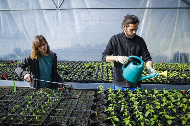V projektu bodo izdelali načrte preusmeritve za 250 kmetij, ki so že izbrane, predavanja in ogledi dobrih praks pa bodo odprti tudi širši javnosti. FOTO: Jože Suhadolnik/Delo