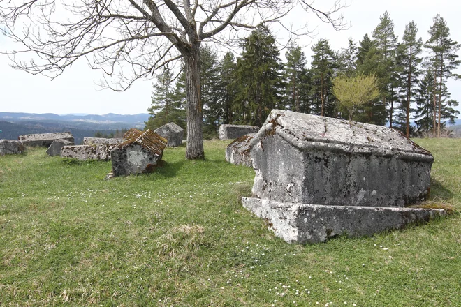 Poznamo šest glavnih oblik stečkov: skrinje, psevdosarkofage oziroma slemenjake, pokončne in ležeče plošče, stebre in križe. FOTO: Nekropola.ba