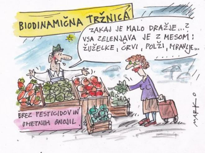 KARIKATURA: Marko Kočevar
