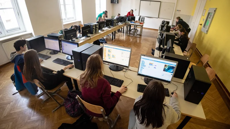 Slovenija se pri povezavi med učnimi dosežki in socialno-ekonomskim statusom uvršča v povprečje evropskih držav, pojasnjuje ministrstvo za vzgojo in izobraževanje. FOTO: Črt Piksi