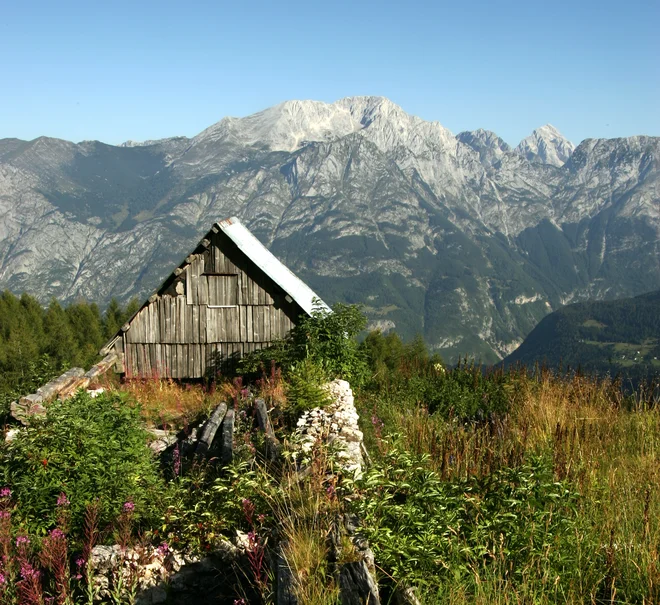 Pogovarjala sta se o tem, da bi se odpravili v Alpe. FOTO: Modic Igor