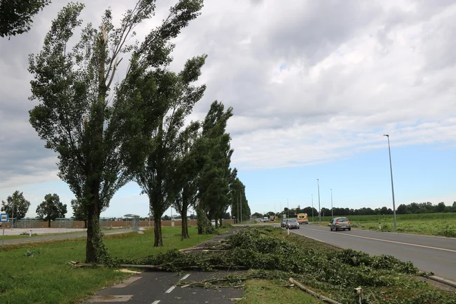 Dokončna sanacija naj bi ponekod potekala vsaj mesec dni. FOTO: Jože Pojbič/Delo
