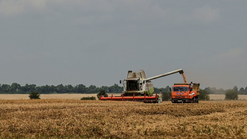 Fotografija: Ukrajinska proizvodnja žita je sicer od začetka vojne padla za skoraj 40 odstotkov. FOTO: Stringer/Reuters