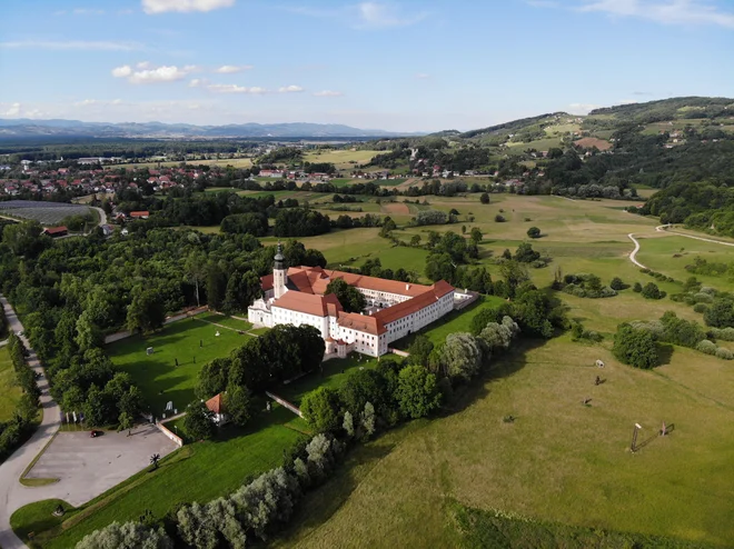 Park skulptur je zaščiten kot državni spomenik nepremične kulturne dediščine, a kljub temu nima sistematičnega programa financiranja konserviranja in restavriranja hrastovih skulptur. FOTO: Tadej Abram/arhiv Galerije Božidarja Jakca