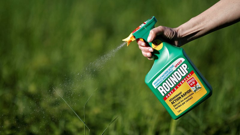 Fotografija: V primeru pozitivnega razpleta za proizvajalce glifosata bi herbicid dobil novo dovoljenje za trženje. Na fotografiji eden od izdelkov, ki vsebuje glifosat. FOTO: Benoit Tessier/Reuters