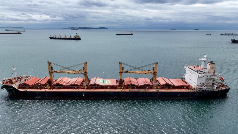Fotografija: Pošiljanje žita prek Črnega morja brez ruskih zagotovil bi bilo bistveno bolj tvegano, v skrajnem primeru bi bile tovorne ladje za Rusijo legitimne tarče. FOTO: Mehmet Caliskan/Reuters