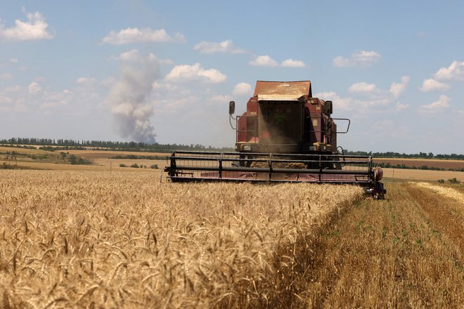 Vojna v Ukrajini je bila v prvih mesecih preteklega leta glavni vzrok za občuten skok cen žita na svetovnih trgih. Pojavljajo se strahovi, da se lahko zgodba ponovi. FOTO: Anatolii Stepanov/Afp