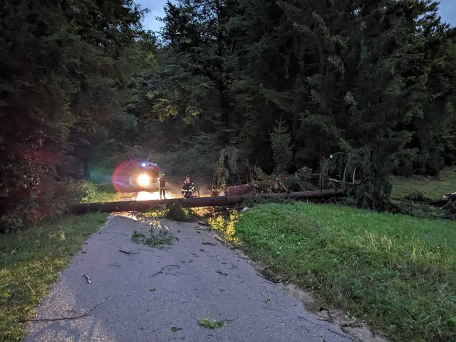 FOTO: PGD Veliki Gaber/Facebook
