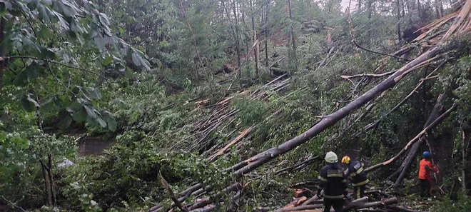 Odstranjevanje dreves na cesti proti Novakom. FOTO: PGD Novaki