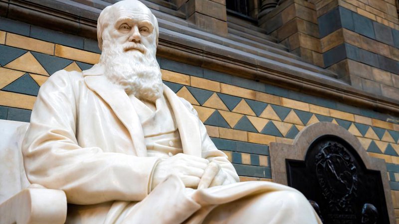 Fotografija: Junija 1885 so v londonskem Prirodoslovnem muzeju v South Kensingtonu odkrili Darvinow spomenik, delo sira Josepha Edgarja Boehma, odkritja se je udeležil tudi takratni canterburyski nadškof. FOTO: Shutterstock