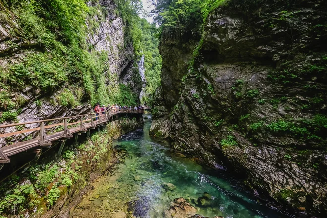 Skozi sotesko, dolgo 1600 metrov, se pretaka reka Radovna in se na koncu kot desni pritok izliva v Savo Dolinko. FOTO: Črt Piksi