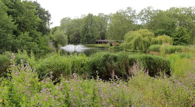 St. James's Park se razteza na 23 hektarih.  FOTO: Milan Ilić