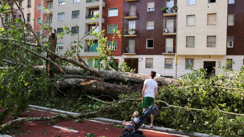 Fotografija: Veter je podiral drevesa in odpiral okna. FOTO: Claudia Greco/Reuters