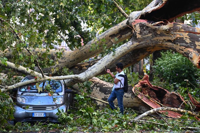 Drevo je padlo na avtomobil, v katerem je bila ženska. FOTO: Piero Cruciatti/AFP