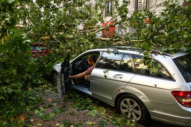 V Italiji je veter ruval drevesa. FOTO: Piero Cruciatti/AFP