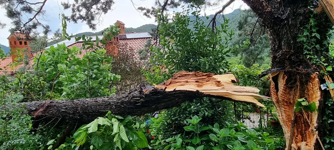 Posledice včerajšnje nevihte v Kanalu ob Soči. FOTO: Barbara Zimic/Delo