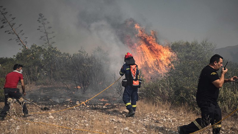 Fotografija: Po prvih ocenah je na Rodosu doslej pogorelo 150 kvadratnih kilometrov gozda. FOTO: Spyros Bakalis/AFP