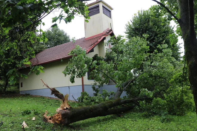 Padala so drevesa, a v Prekmurju danes ni bilo najhujše FOTO: Jože Pojbič