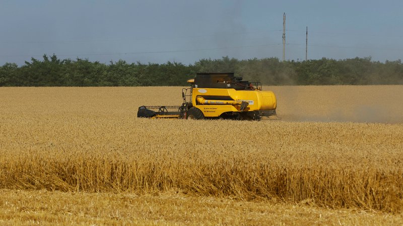 Fotografija: V Sloveniji je vnos gnojil in nanos pesticidov na žito strogo nadzorovan, za ukrajinsko žito pa tega ni mogoče trditi. FOTO: Alexander Ermochenko/Reuters