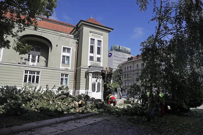 Ljubljansko Dramo bodo prenavljali po načrtih arhitekturnega biroja Bevk Perović, ki je bil izbran na javnem natečaju. FOTO: Leon Vidic/Delo