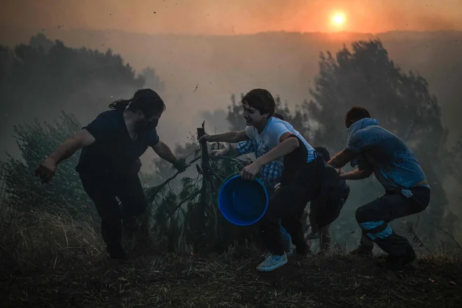 Na Portugalskem gori domala vsako poletje, tudi letos je že. FOTO: Patricia De Melo Moreira/Afp