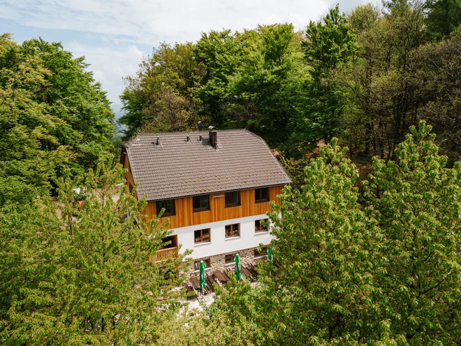 Hrib, ki ga imajo Šentjurčani za svoj Triglav, je poraščen z mešanim gozdom, bogat z borovnicami, gobami in kostanjem, spomladi in jeseni pa tudi z resjem, po katerem je dobil ime. FOTO: Matic Javornik