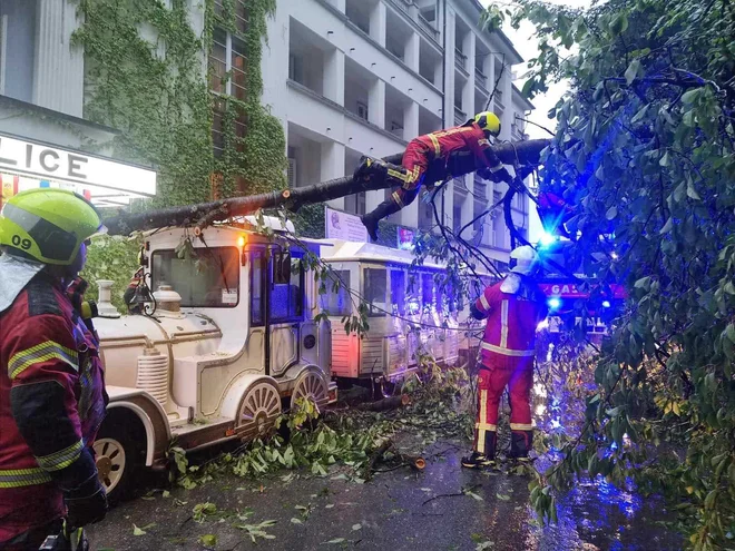 Na Bledu je na turističen vlakec padlo drevo, na katerem so bili ob vozniku štirje potniki. FOTO: Gasilci Bled/Facebook