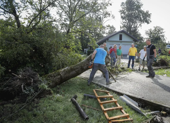 Prizori razdejanja po tornadu v Kosezah pri Ilirski Bistrici. FOTO: Jože Suhadolnik/Delo