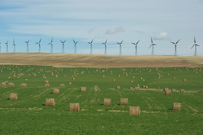 Za prehod v trajnostno in nizkoogljično družbo je nujno pospešiti gradnjo sončnih in vetrnih elektrarn. FOTO: Todd Korol/Reuters