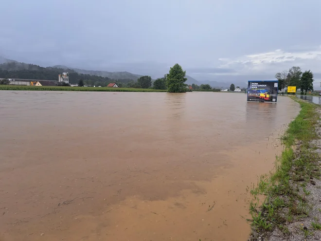 Medlog, Celje. FOTO: Špela Kuralt/Delo