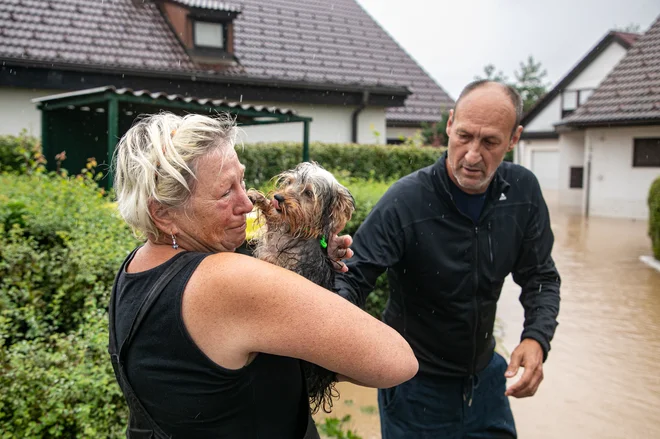 Sneberje. FOTO: Voranc Vogel