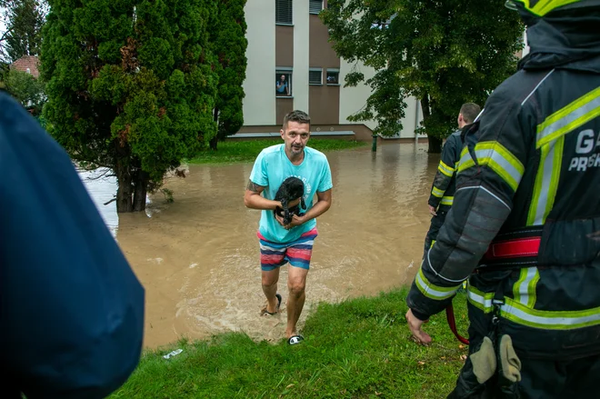 Tudi živali so potrebovale pomoč. FOTO: Voranc Vogel