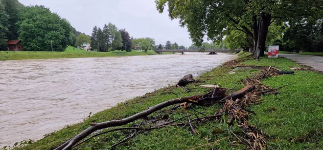 Na bregovih Savinje je ostalo veliko naplavin. FOTO: Špela Kuralt/Delo