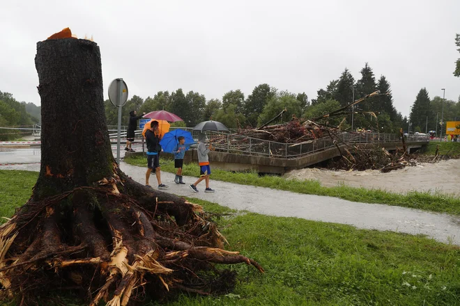 Domžale. FOTO: Leon Vidic/Delo