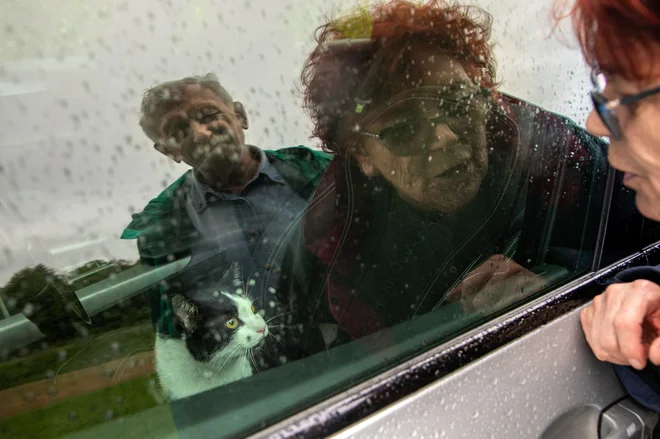 Iz poplavljenih hiš in stanovanj je nekaterim lastnikom uspelo rešiti hišne ljubljenčke, drugim na žalost ne. FOTO: Voranc Vogel/Delo