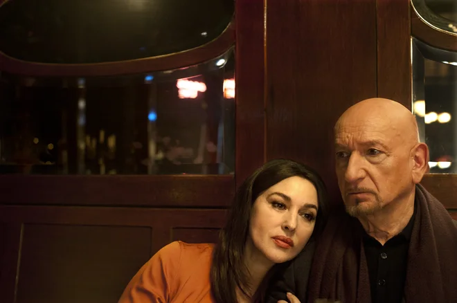 Pajek v mreži. Foto Kino