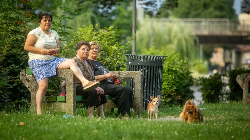 Ljudje se v poplavi informacij ne znajdemo in si velikokrat ne znamo pomagati. FOTO: Voranc Vogel/Delo