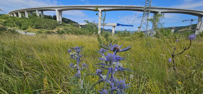 Viadukt Črni Kal in viadukt Gabrovica je zasnoval Marjan Pipenbaher. Foto Boris Šuligoj