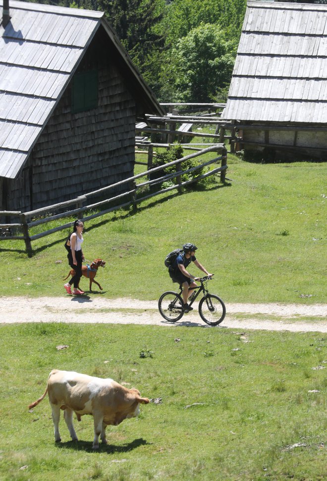 Razum nam govori, da naj kolesarimo, ker vemo, da ima redno kolesarjenje veliko pozitivnih zdravstvenih učinkov. FOTO: Dejan Javornik/Slovenske novice