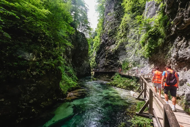 Blejski Vintgar bo prihodke ob obiska na današnji dan namenil za odpravo posledic poplav. FOTO: Črt Piksi/Delo