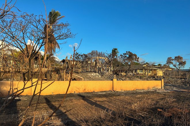 Požari na Mauiju so doslej zahtevali več žrtev kot velik požar v Kaliforniji, ki je leta 2018 povsem uničil mesto Paradise. Takrat je umrlo 85 ljudi. FOTO: Reuters