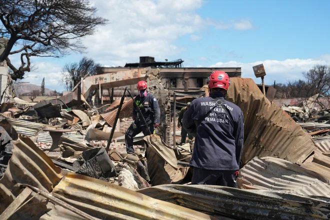 Vzrok za požare, ki so izbruhnili na Mauiju in Velikem otoku, kjer ni bilo smrtnih žrtev ali ranjenih, je uradno še predmet preiskave. FOTO: Reuters