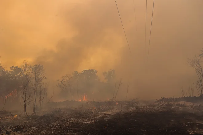 Lani julija je na Krasu divjal požar, letos so se julija prožila neurja. FOTO: Črt Piksi

 