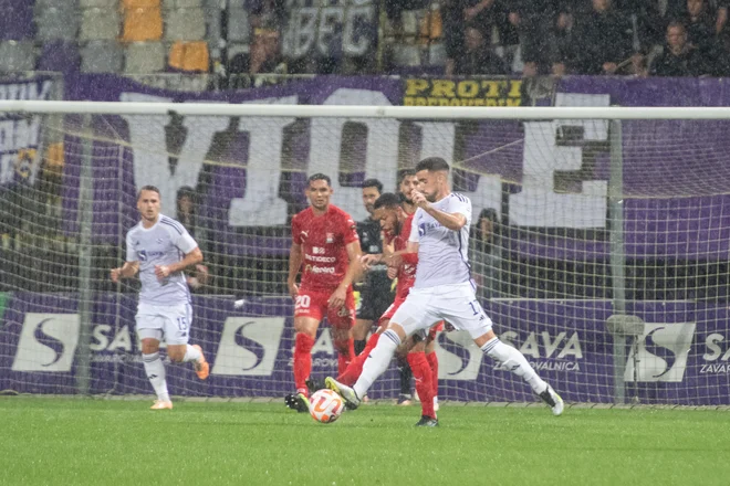 V Ljudskem vrtu gre danes pričakovati ogorčen boj. FOTO: Miloš Vujinović/mediaspeed