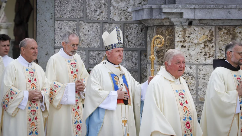 Fotografija: Vse kaže, da se slovenska veja rimske Cerkve ne more sprijazniti z ekumenizmom, ki ga zastopa tudi papež Frančišek. FOTO: Matej DruŽnik