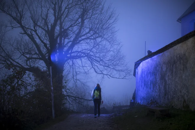 Jutranji motiv s Šmarne gore. FOTO: Jure Eržen/Delo