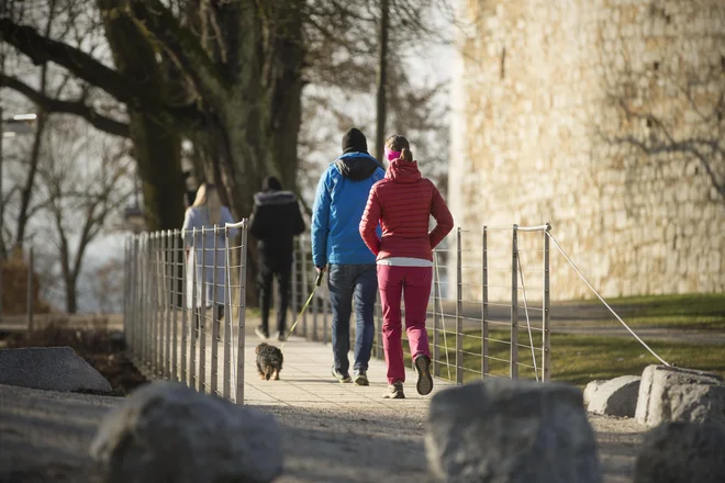 Aktiven način življenja je ključnega pomena za zdrav razvoj človeka in preprečevanje bolezni – dovolj je že sprehod namesto vožnje z avtomobilom. FOTO: Jure Eržen/Delo