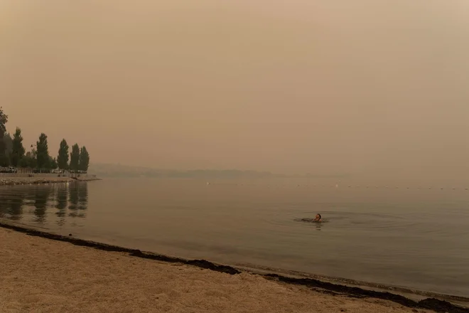 Jezero Okanagan v Britanski Kolumbiji. FOTO: Paige Taylor White/AFP